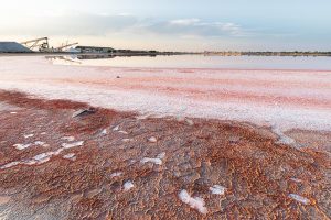 Salin du Midi Balade Photo
