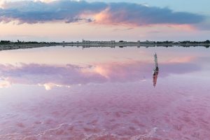 Salin du Midi Balade Photo