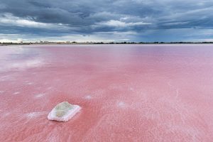 Salin du Midi Balade Photo
