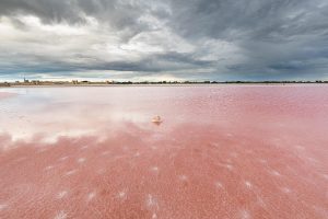 Salin du Midi Balade Photo
