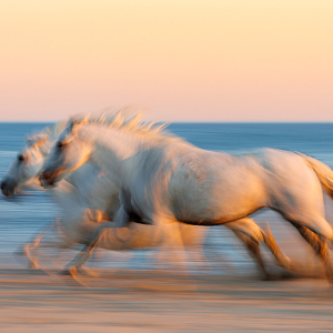 TECHNIQUE PHOTO : REUSSIR L’EFFET DE FILE